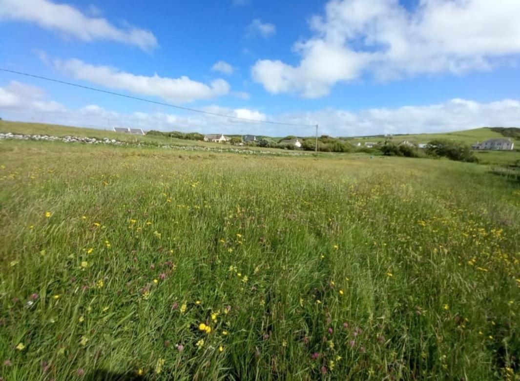Wild Meadow Huts Villa Doolin Dış mekan fotoğraf