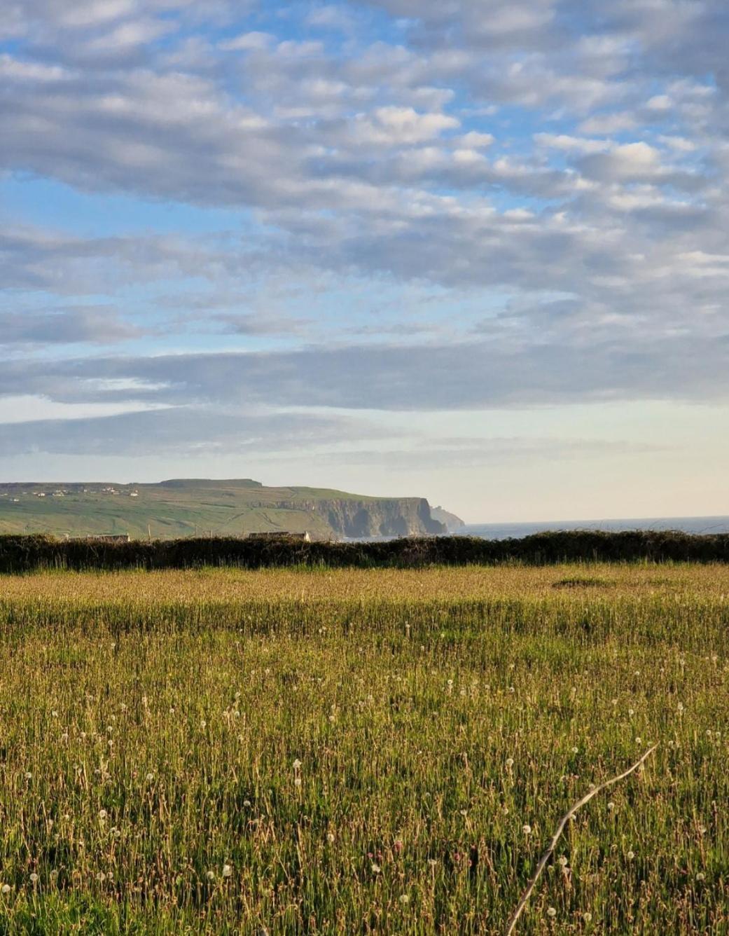 Wild Meadow Huts Villa Doolin Dış mekan fotoğraf