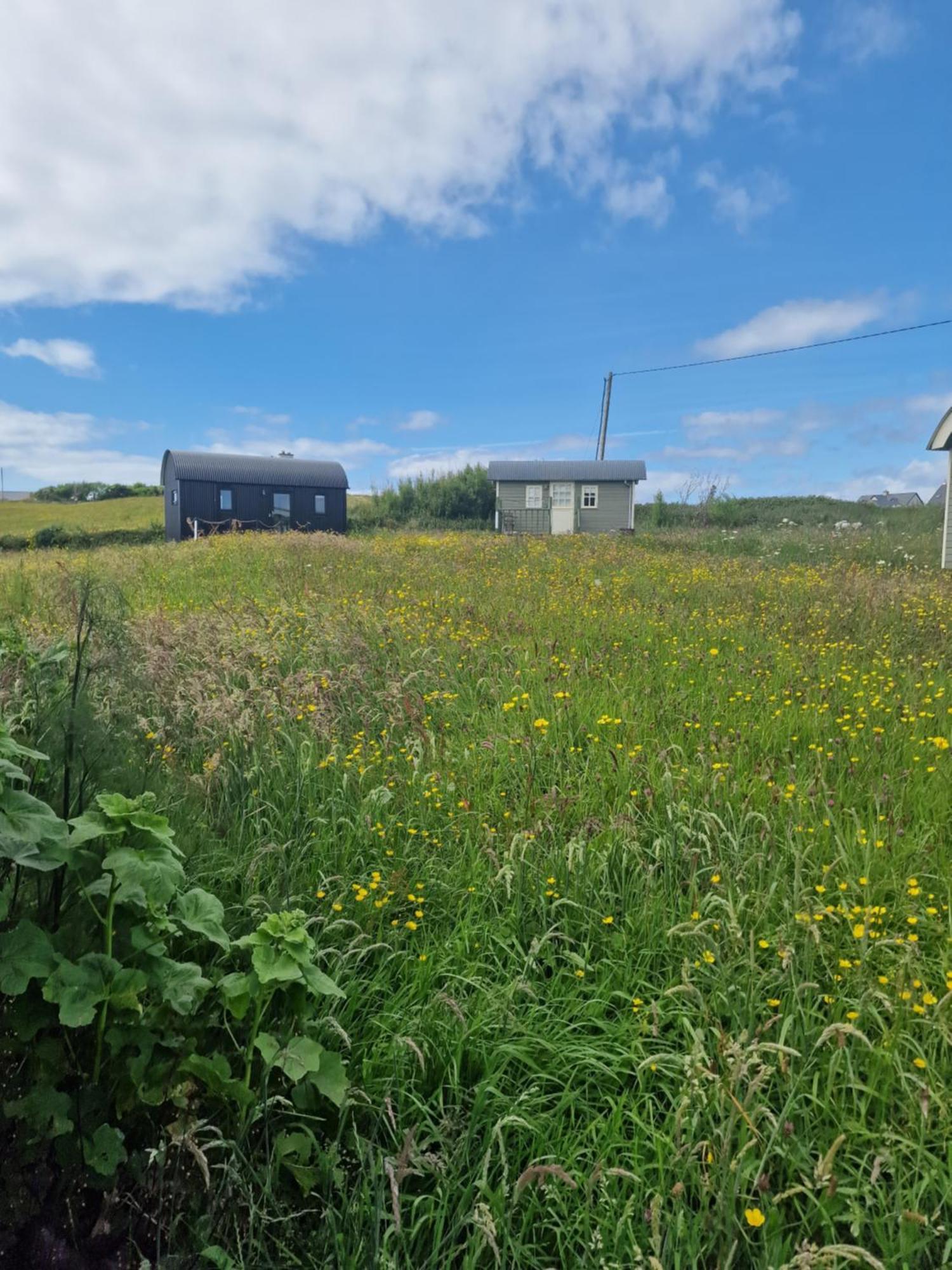 Wild Meadow Huts Villa Doolin Dış mekan fotoğraf