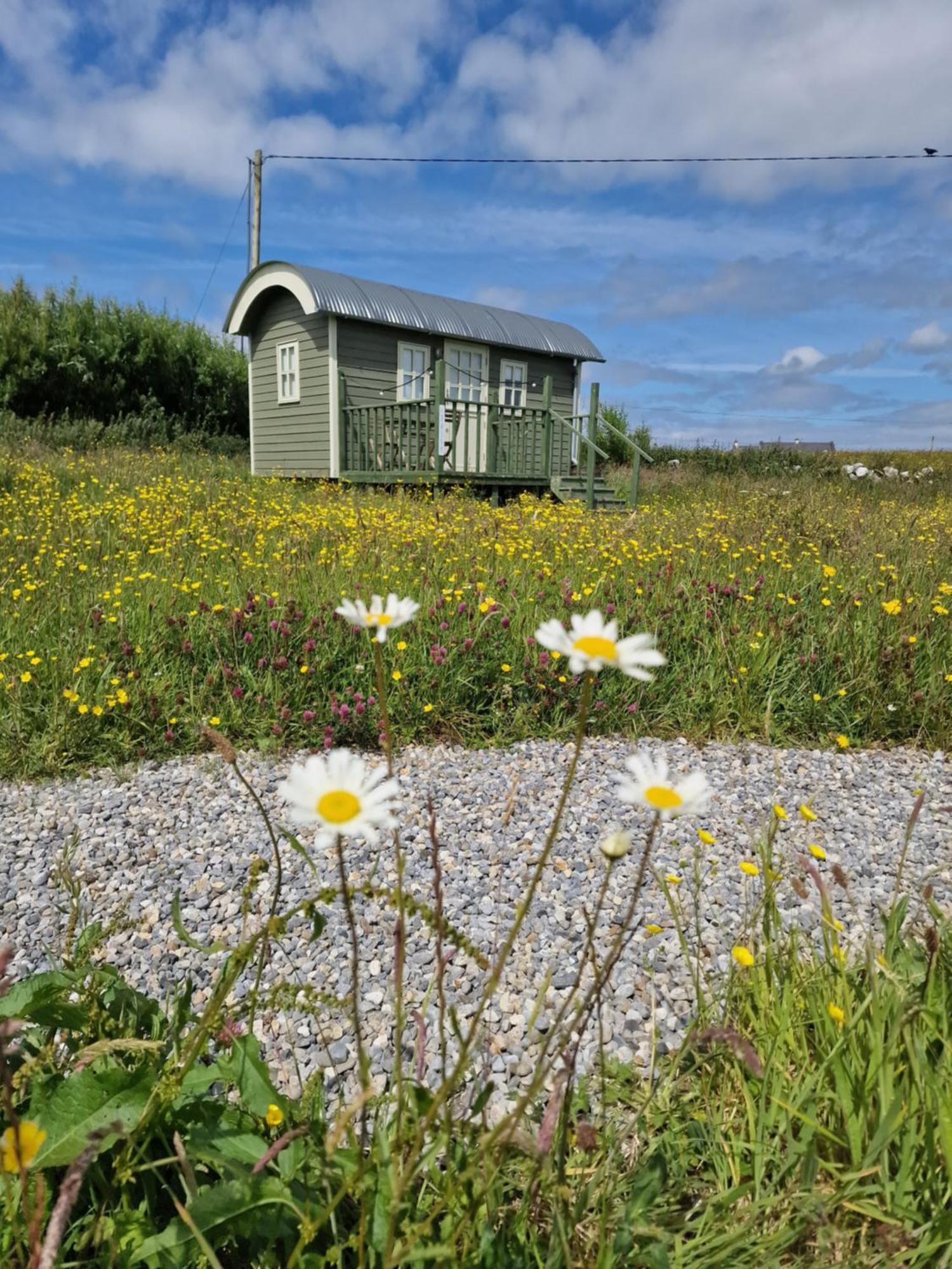 Wild Meadow Huts Villa Doolin Dış mekan fotoğraf