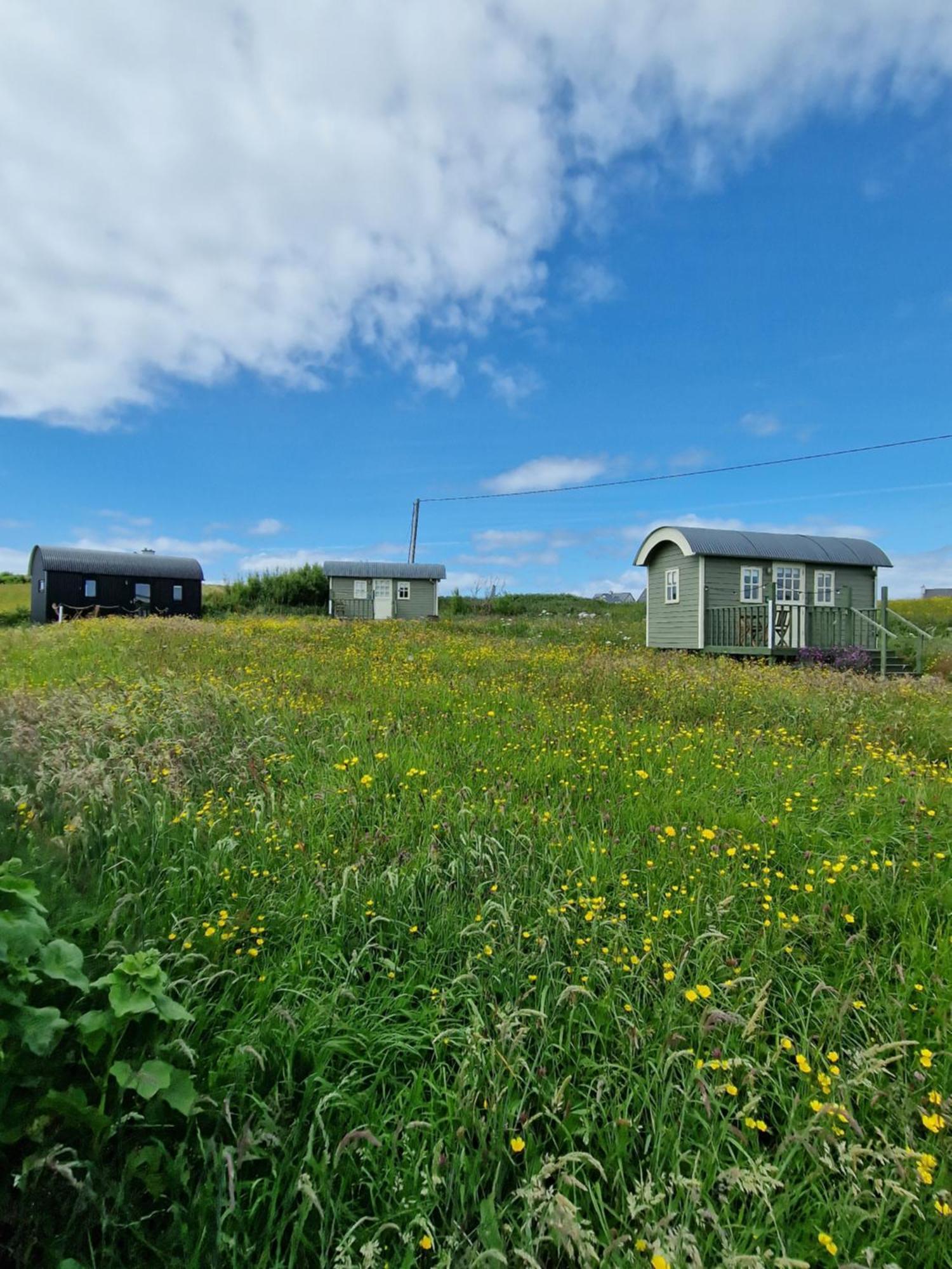 Wild Meadow Huts Villa Doolin Dış mekan fotoğraf