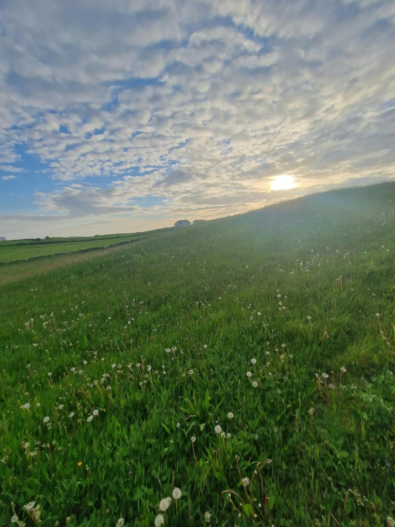 Wild Meadow Huts Villa Doolin Dış mekan fotoğraf