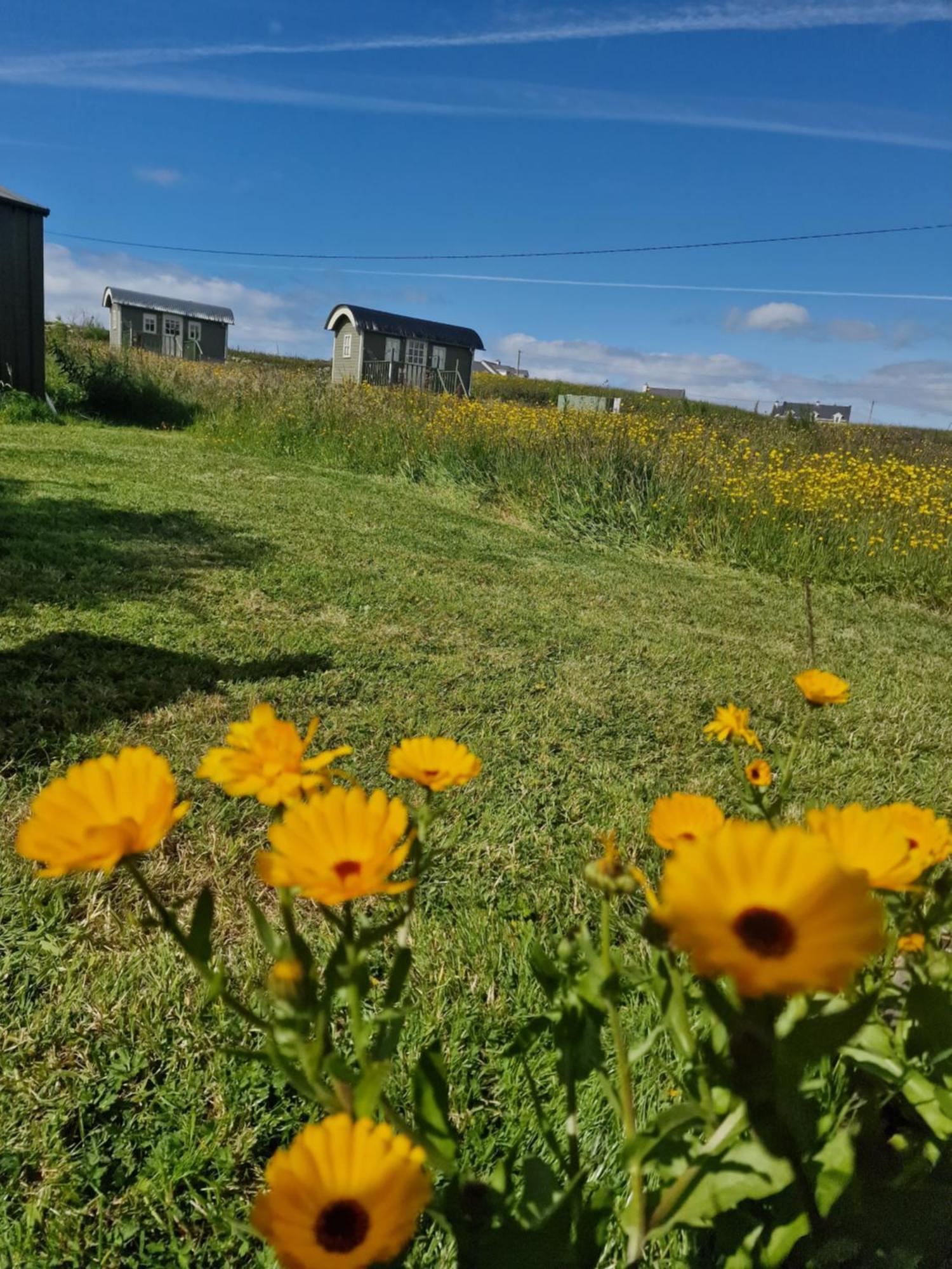 Wild Meadow Huts Villa Doolin Dış mekan fotoğraf