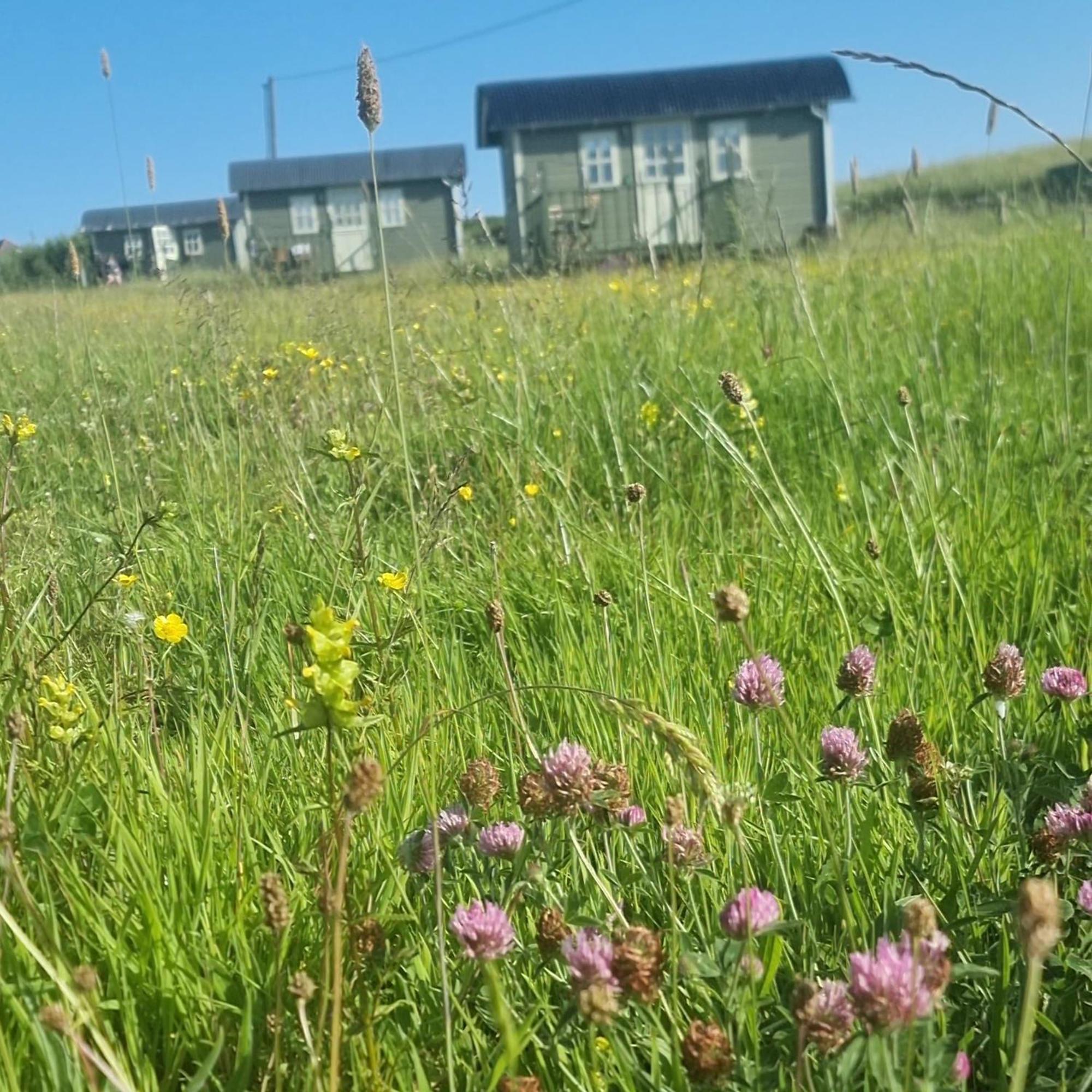 Wild Meadow Huts Villa Doolin Dış mekan fotoğraf
